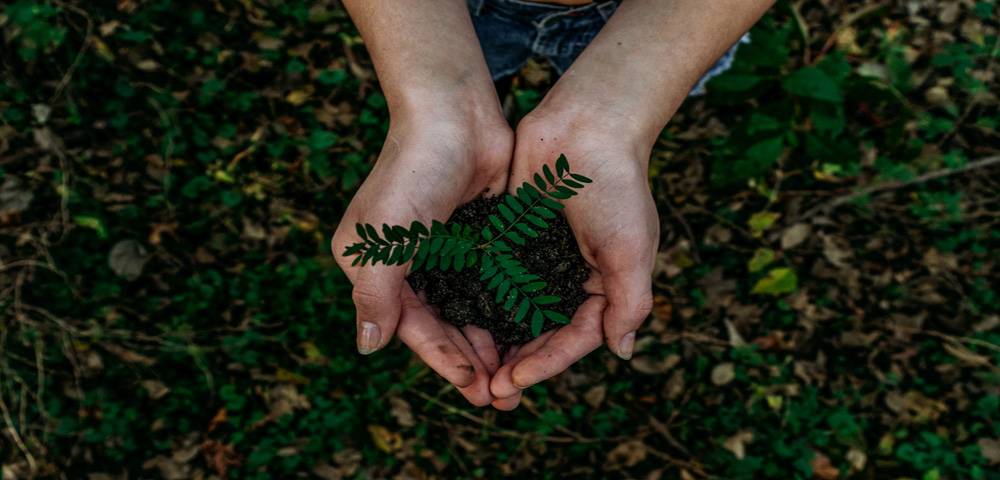 Con le eco box, smaltiamo i consumabili